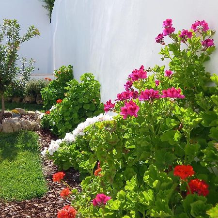 Pateo Dos Oliveira - Casa Da Cocheira Apartment เอโวรา ภายนอก รูปภาพ