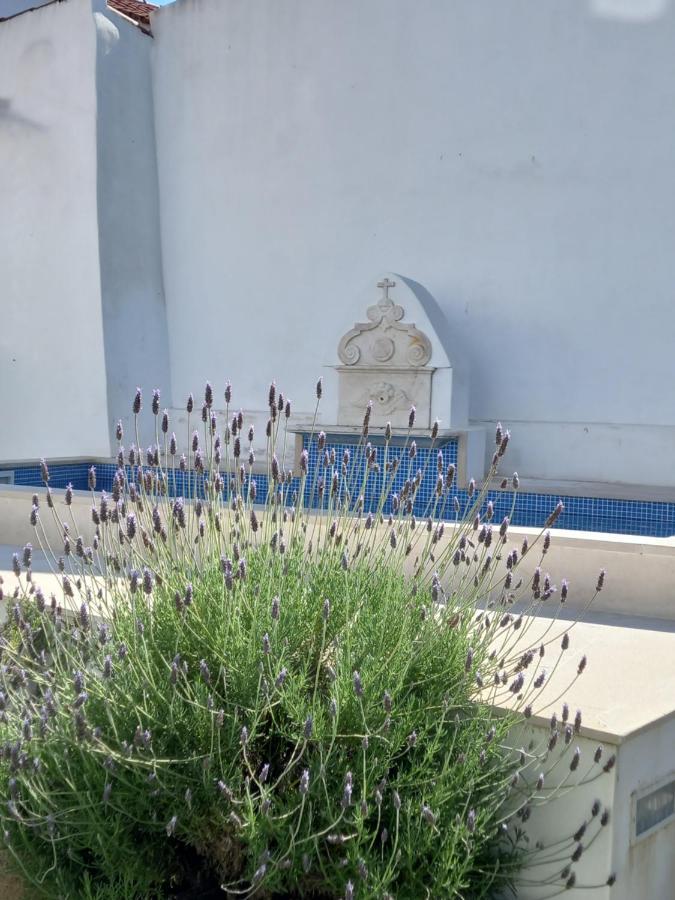 Pateo Dos Oliveira - Casa Da Cocheira Apartment เอโวรา ภายนอก รูปภาพ